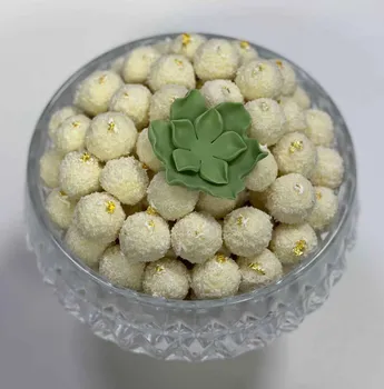 Coconut Chocolate Bites